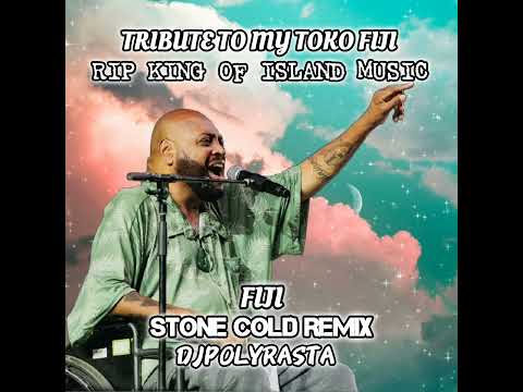 DJPOLYRASTA x FIJI - Stone Cold ReMiX 