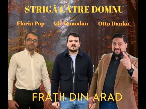 Fratii din Arad Cand te afli ingrijorat 2026