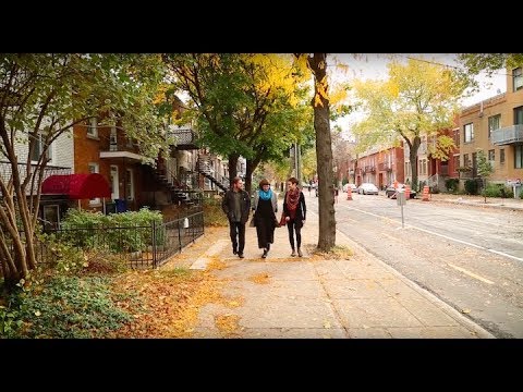 Walking Cities: Montréal