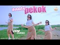 Dj Santri Pekok Dini Kurnia Official Music Video
