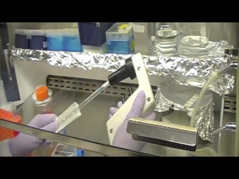 Preparation Of Chicken Embryo Fibroblast (In CO2 Incubator) Teaching Kit