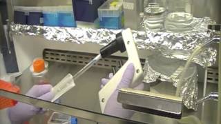 Cell Culture Training Video