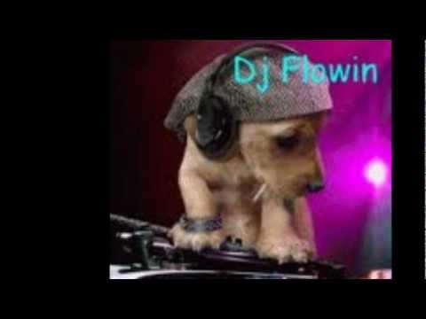 DJ Flowin Der Spass beginnt vol. 1