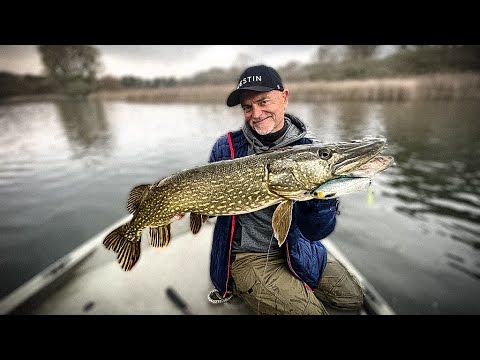 Pike fishing in autumn – these basics are guaranteed to get you to the fish!
