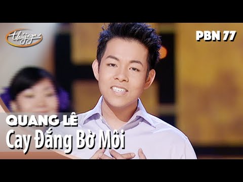 Cay đắng bờ môi - Quang Lê