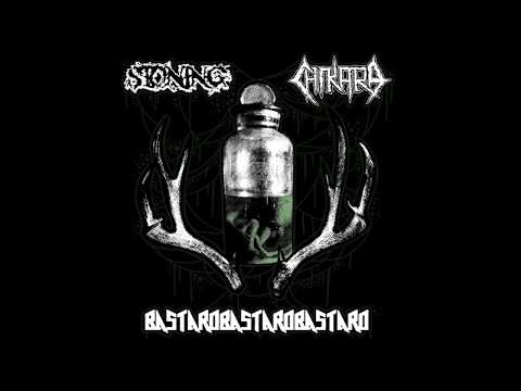 Stoning/Chikara/BastardBastardBastard - Split