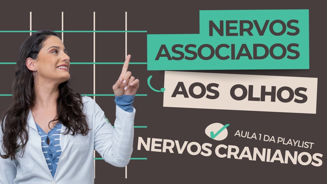 Nervos dos olhos: II, III, IV e VI par de nervos cranianos