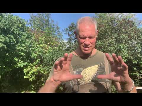 In 8 Wochen zu deiner Traumfigur - Persönlichkeitsentwicklung für Menschen mit Herz und Spirit