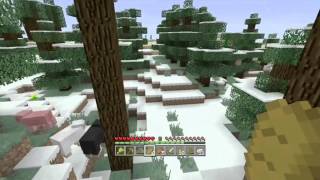 preview picture of video 'Minecraft Hardcore Solo Survival Let's Play #3 (Playthrough/Walkthrough)'