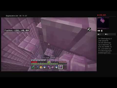 End|Realmserver|enderdrachen killen