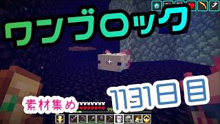 【１１３１日目】ワンブロックでハードコアな世界を生き残る