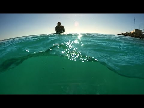 THE SEABIN PROJECT | Scientist Sergio