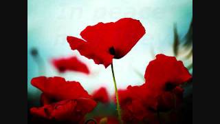 Pittance Of Time-Terry Kelly [Lyrics]