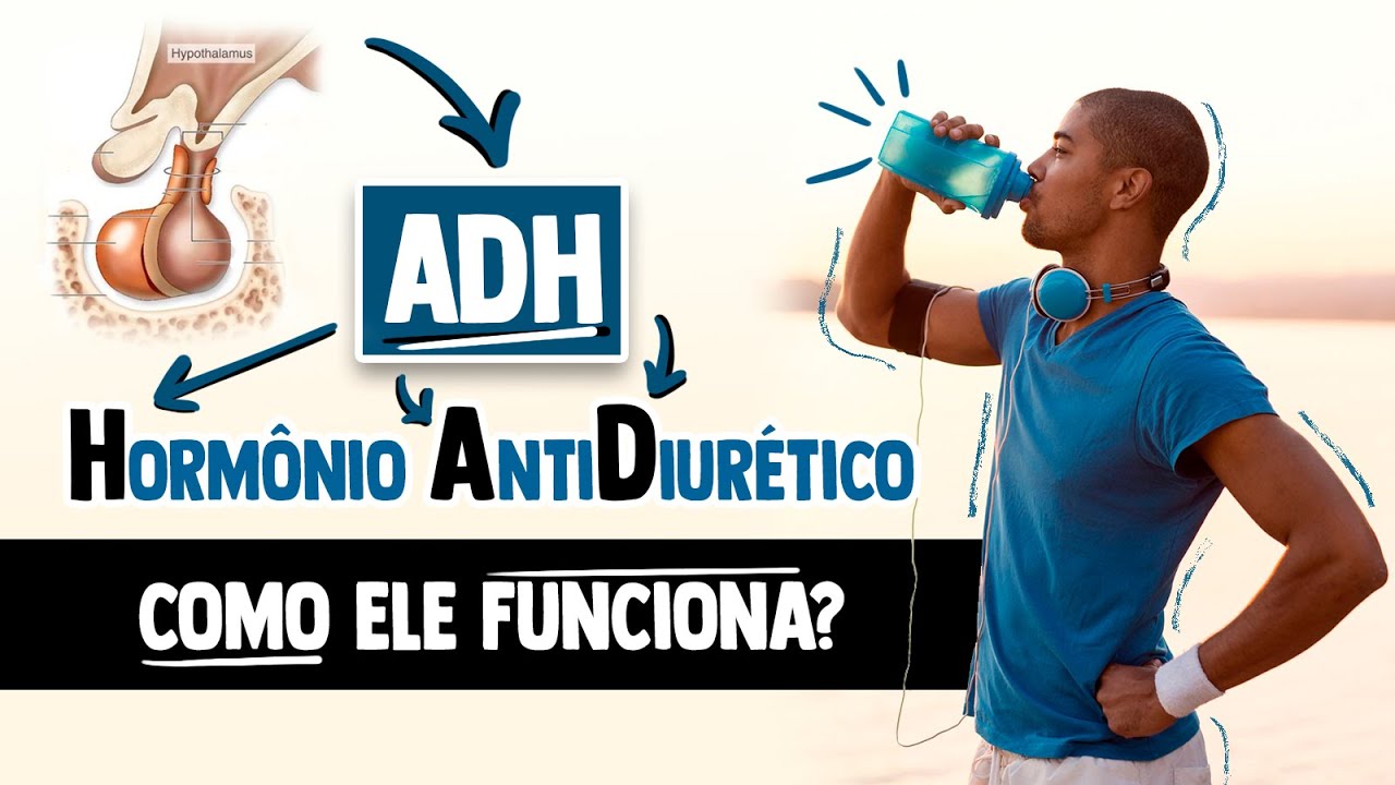 Como funciona o ADH, Hormônio Antidiurético/Vasopressina? │ Fisiologia Resumida