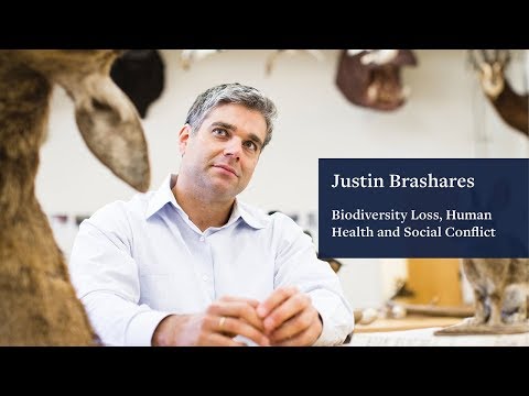 How do biodiversity loss and social conflict affect human health? | Research UC Berkeley