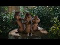 Alvin And The Chipmunks Only You FunkyTown Lyrics 1080p HD