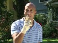 MADtv Allergy Medication