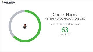 Working at NETSPEND CORPORATION - May 2018