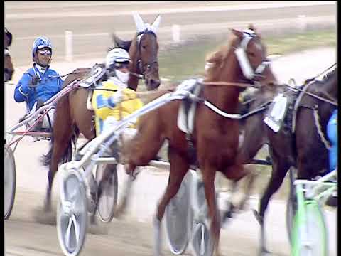 Trotto 02/04/2019 - 3ª corsa