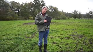 A simple system for rotational grazing for heifers and steers