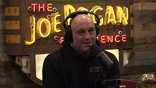 JRE 1919 - Bret Weinstein