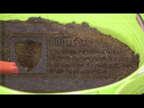 download lagu mp3 mp4 What Is Sweet Peat, download lagu What Is Sweet Peat gratis, unduh video klip What Is Sweet Peat