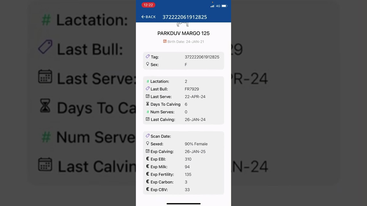 How to view your Expected Calving Profile on the ICBF HerdPlus App.