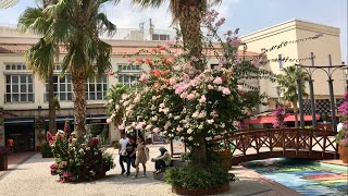 İzmir Bornova | Forum Bornova Alışveriş Merkezi | 1080p | UHD | 2022 |