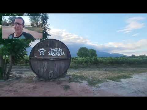 Running Cafayate Corriendo por Cafayate #running #correr #argentina #salta #cafayate 