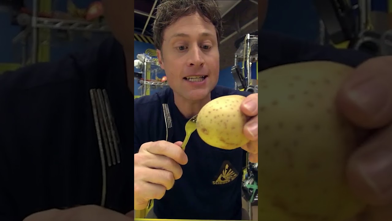 Balancing a Potato on a Ruler!? #shorts #youtubeshorts #experiment #science