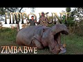Hunting Hippo In Zimbabwe
