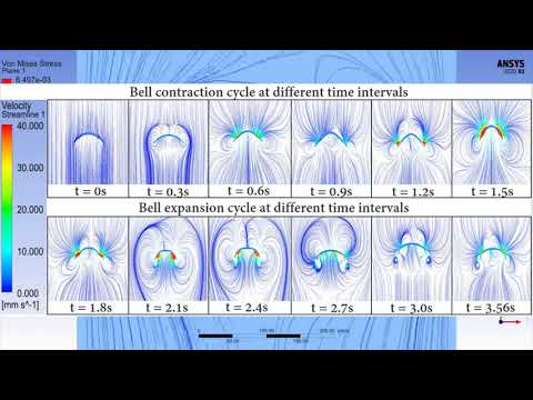 Jelly Z Overview - swimming performance and analysis of TCP actuated jellyfish soft robot
