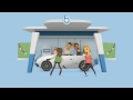 Budget Insurance Car