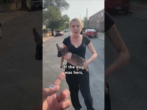 Man Saves Dog From Deranged Woman 🥲❤️ #shorts #save