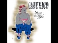 Calexico - Not Even Stevie Nicks...