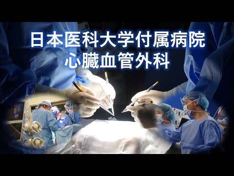 【日本医科大学付属病院　心臓血管外科】