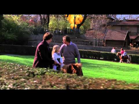 Trailer-Vorschau: Cat Run