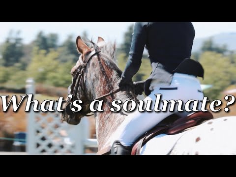 EQUESTRIAN MOTIVATION || What's a soulmate?