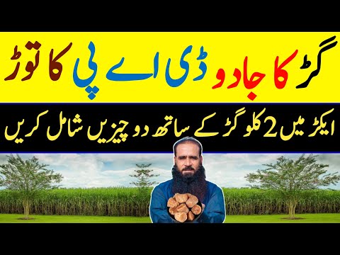 Organic Fertilizer || Make DAP fertilizer || jaivik khad || Organic fertilizer |@ATCOrganic