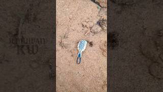 Download lagu ARTLION: Tiny Insects, Deadly Sand Hunters! #animalworld #uniquefacts mp3 Download lagu ARTLION: Tiny Insects, Deadly Sand Hunters! #animalworld #uniquefacts mp3