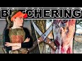 BUTCHERING A LAMB AT HOME For The First Time Using Bearded Butcher Knives Dorper SHEEP Farming