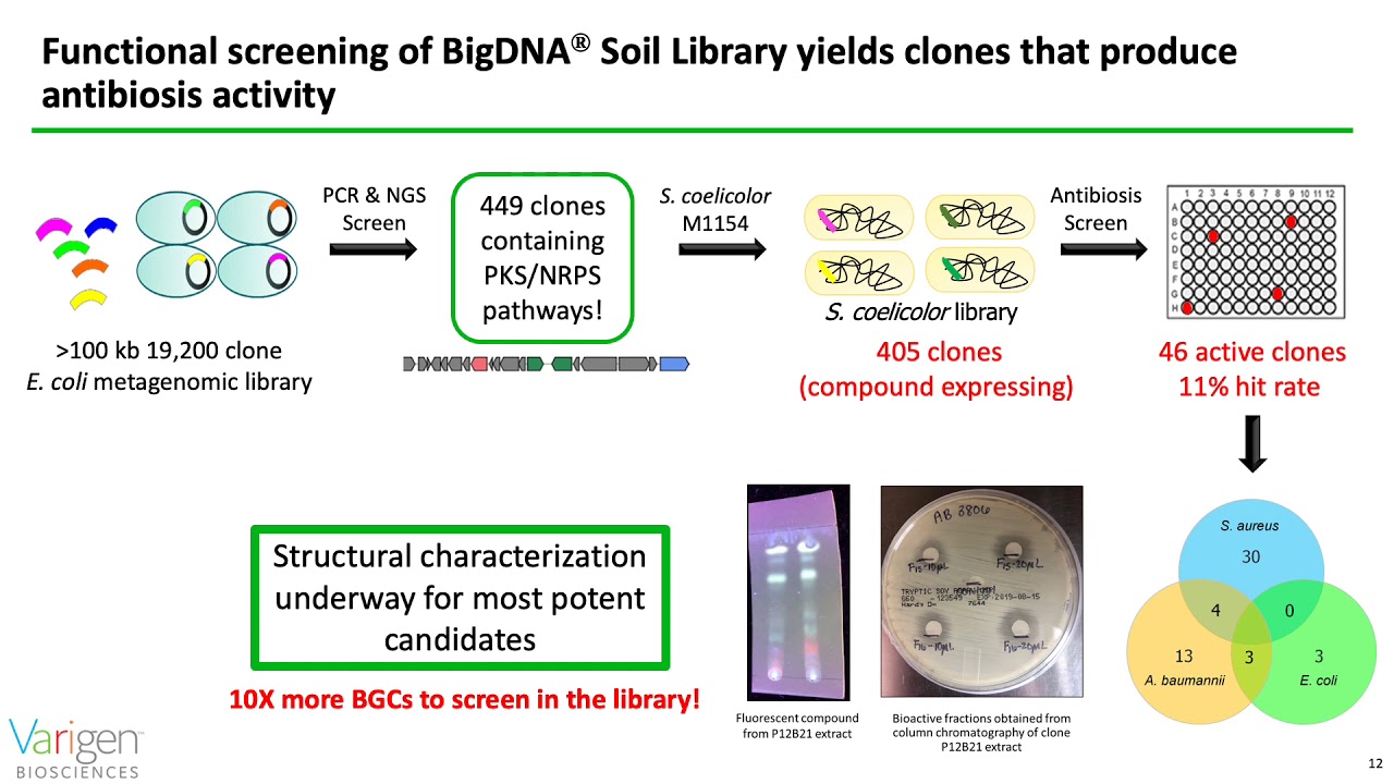 Intro to Varigen Biosciences for Digital BIO