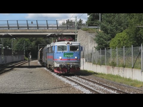 Tåg i Mörrum: Sommaren 2024