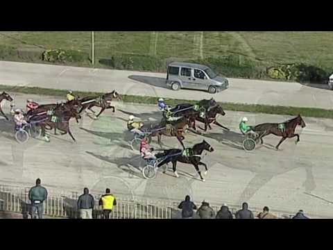 Aversa trotto 5 Febbraio 2020 - 1° Corsa