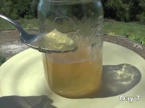 Bone Broth: 12 Days Of Gelatin-Rich Bone Broth