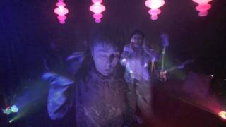 The Purrs-Fear of Flying