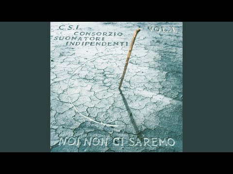 Noi Non Ci Saremo