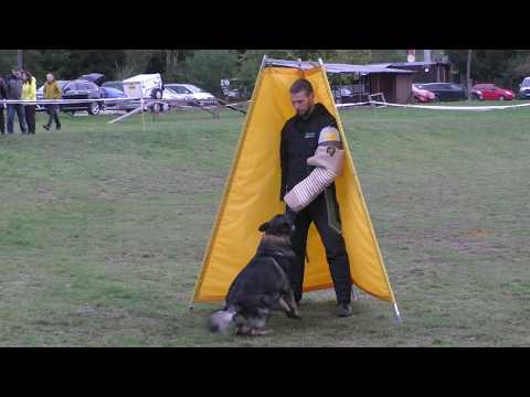 MM MSKS Zbraslav 2019 - Oldřich Dobrozemský - Dasty Majorův háj - obrana/defense