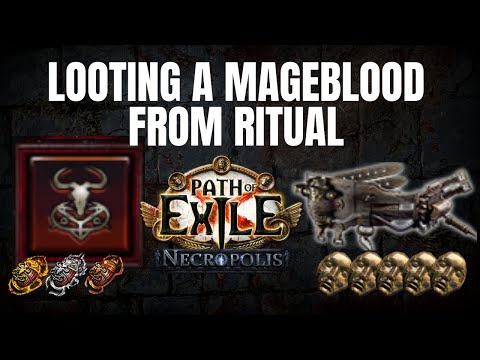 POE 3.24 - MAGEBLOOD from Ritual - Easy Currency with NEW Scarabs  - Path of Exile Necropolis