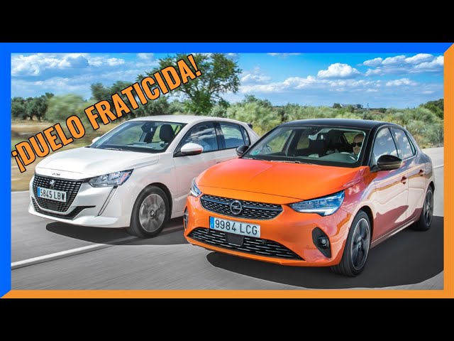 Car sales - Argentina - January 2022: The Peugeot 208 accelerates